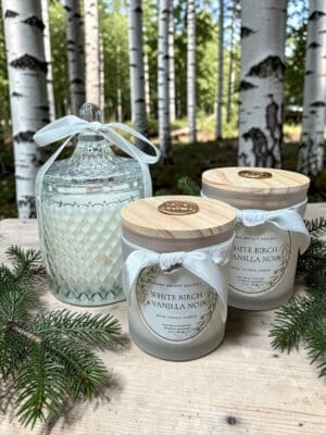 Three White Birch & Vanilla Noir Candles, each featuring a wooden lid and bow, are displayed on a wooden surface surrounded by evergreen branches. With birch trees and lush greenery in the background, these luxury candles add an elegant, nature-inspired charm to any space.
